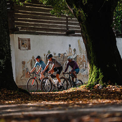 Gravelbike im Herbst, Kärnten, Österreich