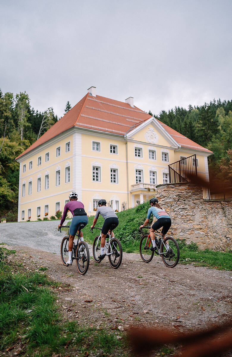 Gravelbiker erkunden abwechslungsreiche Landschaften rund um Friesach – vom historischen Stadtplatz bis zu ruhigen Wald- und Schotterpassagen.