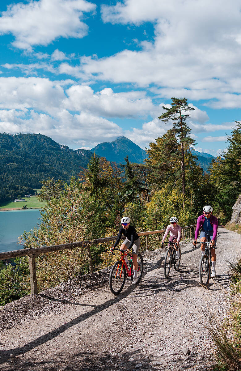 Gravelbiker unterwegs rund um den Weissensee – abwechslungsreiche Naturkulisse zwischen See, Wald und Almwegen.