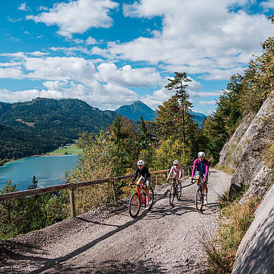 Gravelbiker unterwegs rund um den Weissensee – abwechslungsreiche Naturkulisse zwischen See, Wald und Almwegen.